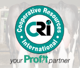 Logo alt